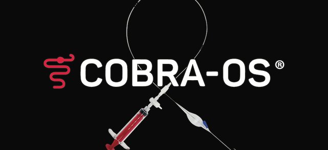 COBRA-OS (1).jpg